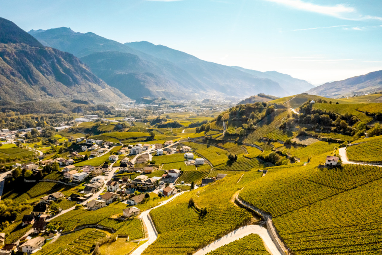 , A la découverte de la Suisse: Au coeur des vignobles valaisans