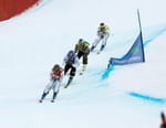 Ski freestyle : Coupe du monde - les épreuves de la saison